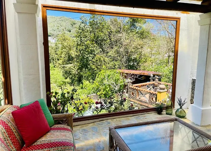 Matos Pool And Garden * Valleseco