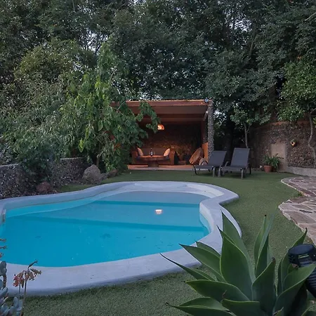 Matos Pool And Garden