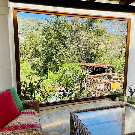 Matos Pool And Garden * Valleseco