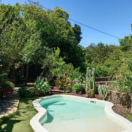 Matos Pool And Garden * Valleseco